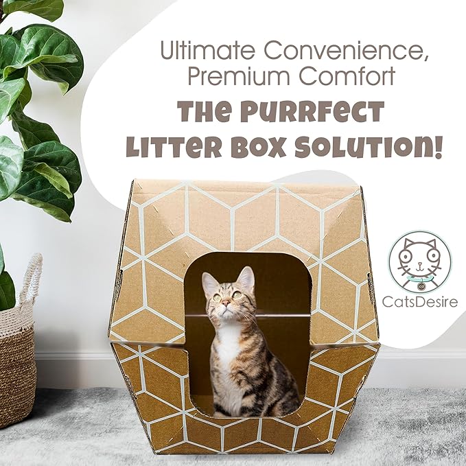 Cats Desire Disposable Litter Box No Plastic Solution (10 Tray) w/ Low Entry & Enclosed Box - Teal on Natural Brown, Made in USA Woman Owned, 19"L x 17"W x 8.5"H tray - 19"L x 17"W x 17"H enclosed box