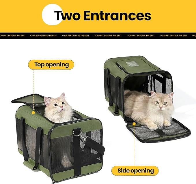 Cat Carrier Airline Approved, Soft-Sided Dog Carrier with Inner Safety Leash, Pet Transport Carrier for Small-Medium Cats Puppies up to 15 Lbs, Collapsible Travel Kitten Carrier Bag -Green M
