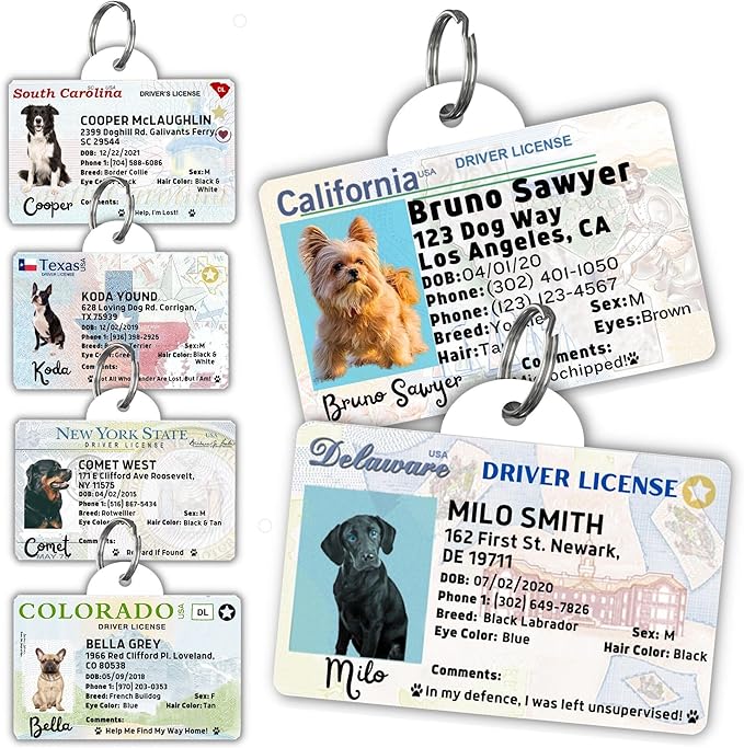 PawFurEver Personalized Dog Driver License ID Tag for Dogs & Cats - Custom Pet License Dog ID Tags Personalized Heavy Duty with Name, Photo & Phone Number, 50 States + DC (Newjersey, Tag)