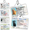 PawFurEver Personalized Dog Driver License ID Tag for Dogs & Cats - Custom Pet License Dog ID Tags Personalized Heavy Duty with Name, Photo & Phone Number, 50 States + DC (Illinois, Tag)