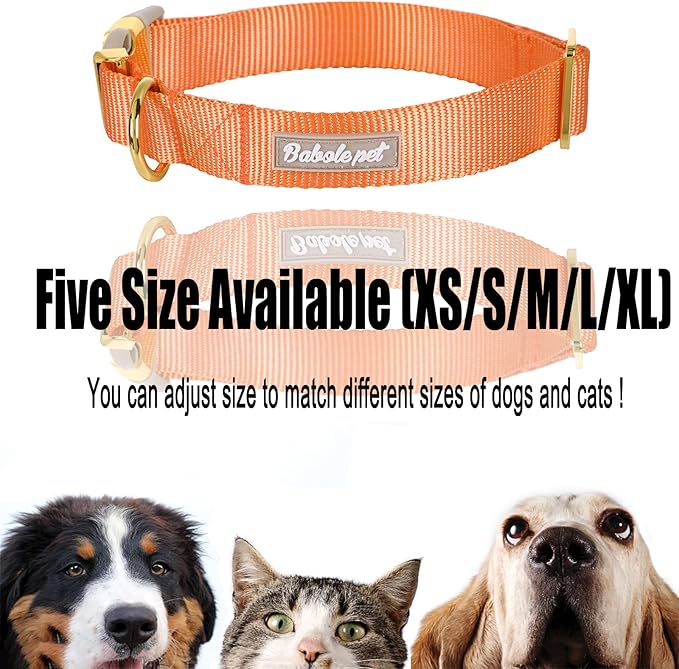 Nylon Dog Collar - Adjustable Orange Soft Webbing Dog Collars for Small Medium Large Dogs Boy Girl Puppy Collar with Safety Metal Buckle S