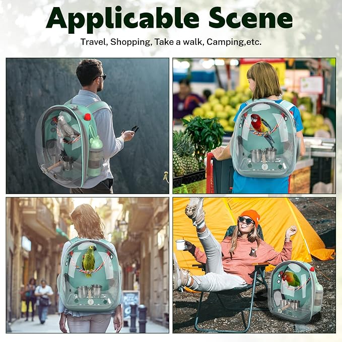 Rypet Bird Carrier Backpack Parrot Portable Breathable Bag Pet Bird Lightweight Travel Cage with Standing Perch and Stainless Steel Tray（Mint Green）