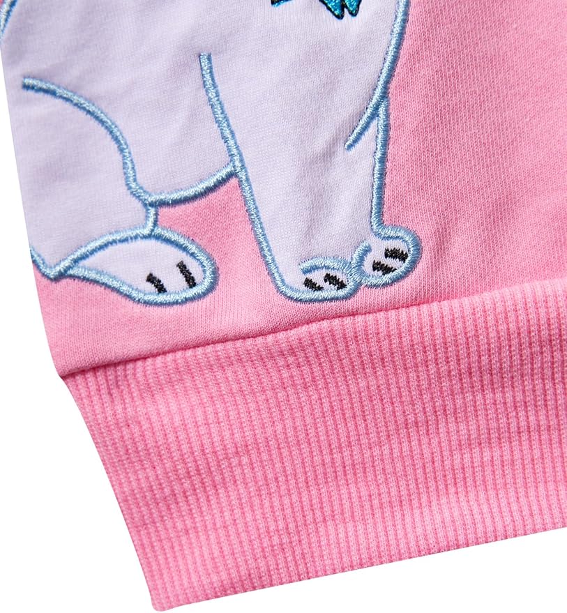 Toddler Baby Girls Cotton Sweater, Long Sleeve Crewneck Sweatshirt Pullover Kids Warm Clothing for Fall Winter