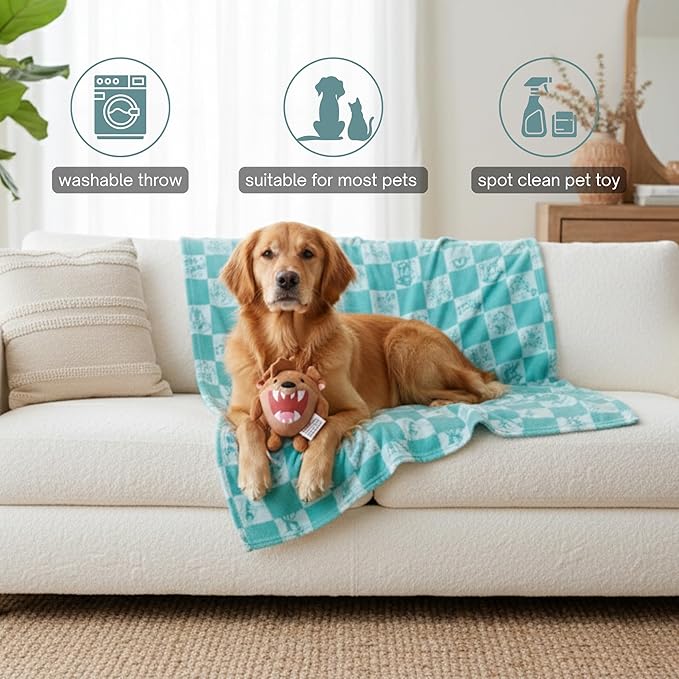 Looney Tunes Taz Tasmanian Devil Pet Throw & Pet Toy Pillow Set - 40in x 50in Super Soft Cozy Throw Blanket for Dogs & Cats - Couch/Bed/Car, (Officially Licensed Product) by Franco Pet