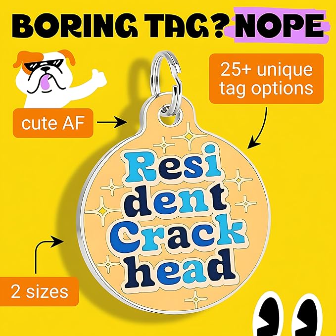 Bad Tags Personalized Dog and Cat ID Tags in 25+ Designs and 2 Sizes - 5 Lines of Custom Engraved Text - Funny Cute Personalized Pet Tags (Resident Crackhead - Orange, Large (1.25 inch))
