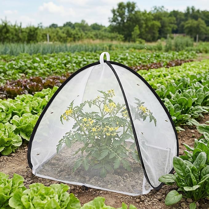 2 Pcs Pop Up Insect Barrier Plant Cover Tent, 22 x 22 x 22 Inch Foldable Garden Plant Protectors Mesh Enclosure, Garden Net Cage Bird Insect Guard Cover for Protecting Plants Fruits Vegetables