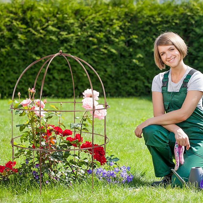 NNG 26 Inch Bird Cage Plant Support, Metal Grow Through Flower Trellis Cage with Dome Top, Garden Plant Support for Peonies Hydrangeas Tomatoes and Climbing Vines