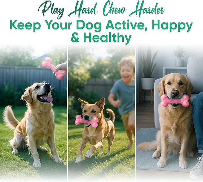Natural Rubber Dog Chew Bone – Treat-Dispensing, Tough & Indestructible Chew Toy – Safe for Aggressive Chewers – Dental Health & Boredom Relief (Pink)