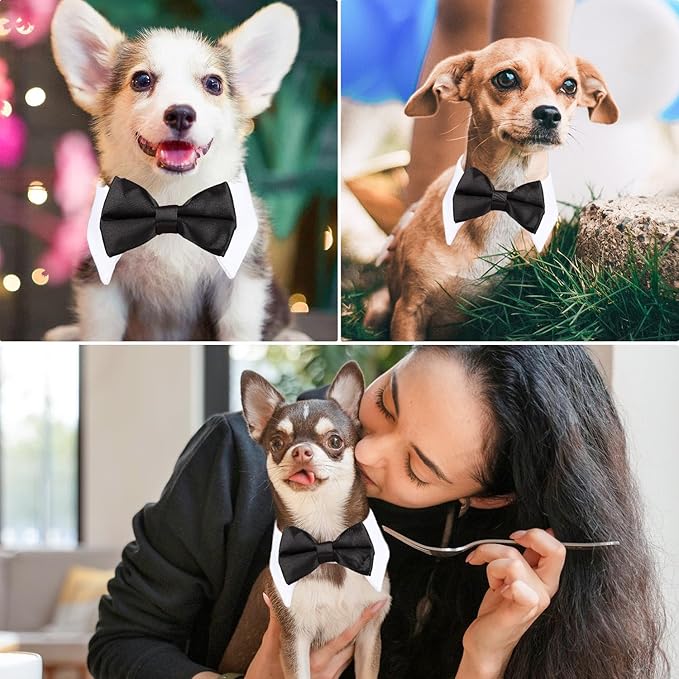Segarty Bow Tie Cat Collar for Neck Girth 8.8-10.5 in, Tux Puppies Dog Bowtie with Handcrafted Adjustable White Collar Formal Pet Cats Necktie for Cats Small Dog Wedding Party