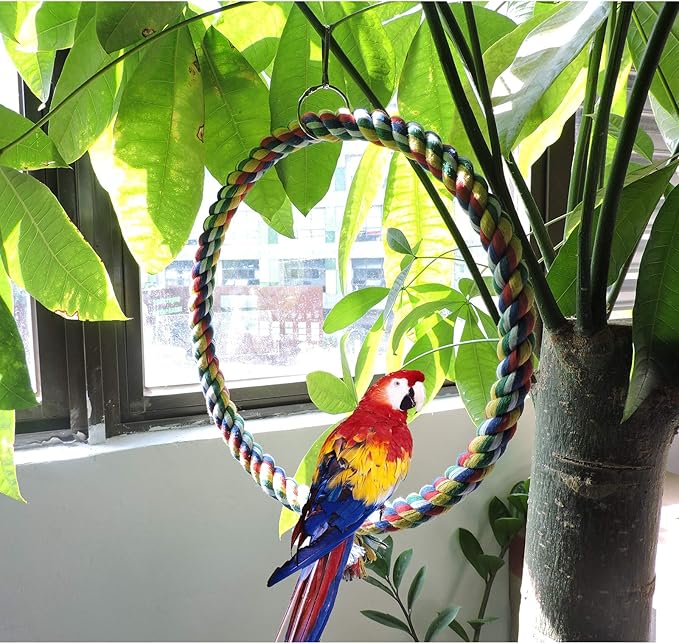 WishLotus Bird Swing, Cotton Rope Swing with Bite Resistance Perches for Parakeets, Budgie, Cockatiels, Conures, Finches - Boredom Breaker (18cm, Cage Hanging)