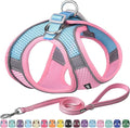 AIITLE Small Harness for Puppy with A Leash - Dog Vest Harness with Super Breathable Mesh, Reflective No-Pull Pet Harness for Outdoor Walking, Running for Small Dogs, Cats Pink XXS