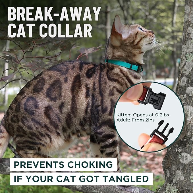 OutdoorBengal Black Cat Collar Breakaway, Soft Padding for Medium to Large Cats - Durable Heavy Duty Tactical Fabric, Comfortable, Quick Release Breakaway Cat Collars, No Bell Collar (Black, Adult)