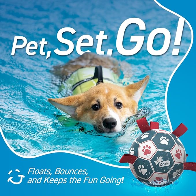 QDAN Dog Balls, World Cup Soccer Ball with Straps, Durable Herding Balls for Small Medium Pet, Puppy Birthday Gifts, Dog Water Toy, Pet Toys Puppy Ball (6 Inch)