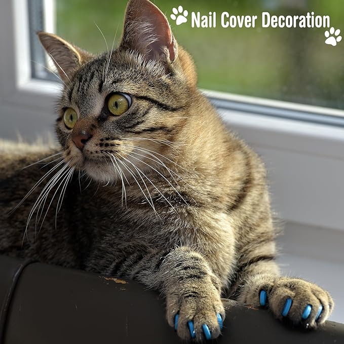 10 Pcs Cat Bathing Bag Set Pet Mesh Shower Bag Anti Bite and Scratch Pet Grooming for Washing Brush, Cat Muzzle, Nail Clipper, Nail File, Tick Tool (Blue and Gray)