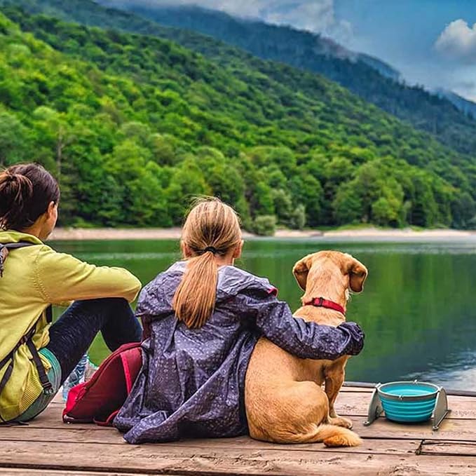 Loving Pets - Bella Roma Portable Travel Dog Bowl Collapsible Dog Food & Water Bowl (Blue, Large)