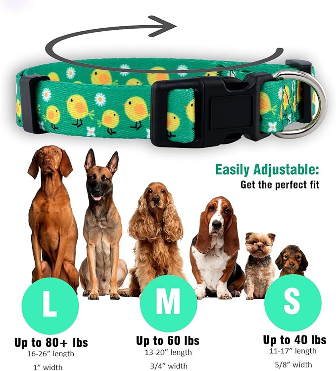 Native Pup Easter Dog Collar, Cute Spring Gift for Puppies, Pink Pastel, Eggs, Chicks, Bunny Adjustable for Small, Medium, Large Breeds (Chicks, Large)