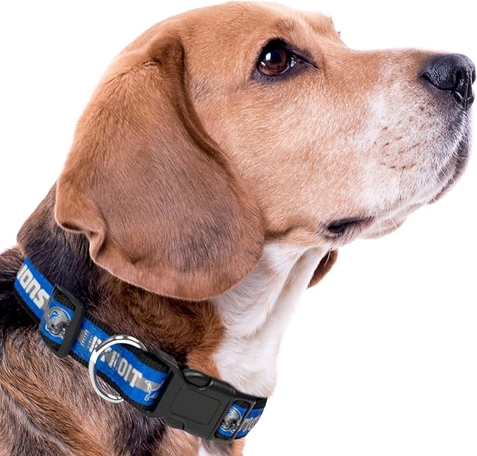 NFL Detroit Lions Dog & Cat Collar - Large, Shiny & Colorful, Licensed by The NFL