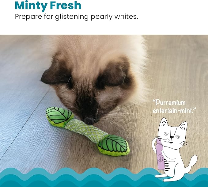 Catstages Fresh Breath Mint Stick Dental Cat Chew Toy with Catmint,Teeth Cleaning & Fresh Breath,Solo or Interactive Play,Green,(Pack of 2)