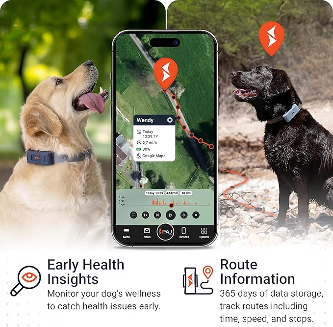 PAJ GPS Tracker for Dogs - 4G GPS Collar Tag with Real-Time Location Tracking & Runaway Alert - Waterproof & Up to 10 Days Battery Life - Fits Any Collar w/Glowing LEDs - Subscription Required - Grey