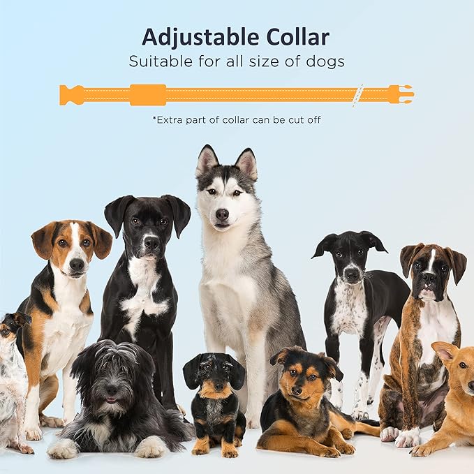 PATPET Dog Shock Collar with Remote (Black)