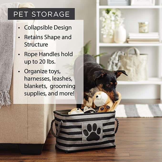 Bone Dry Pet Storage Collection Collapsible Bin, Small Rectangle, Aqua