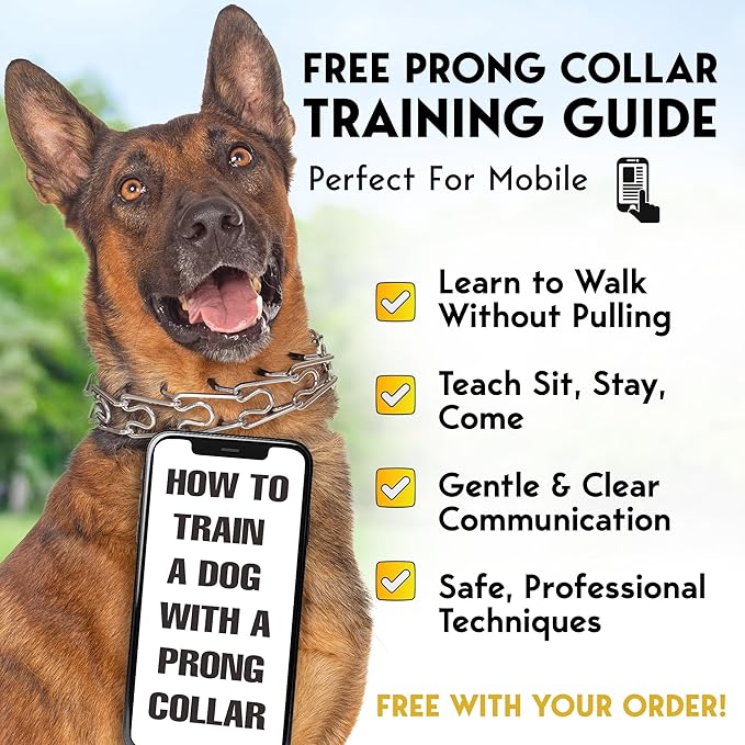 PetJett Prong Collar for Dogs - Adjustable Dog Training Collar Choke Collar for Dogs Pinch Collar for Dog, Quick Release Walking Tool for Small Medium Large Breed - Stainless Steel Metal Choker Chain