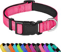 Reflective Dog Collar, Adjustable Soft Neoprene Padded Nylon Pet Collars with Buckle for Small Dogs, Hotpink,S