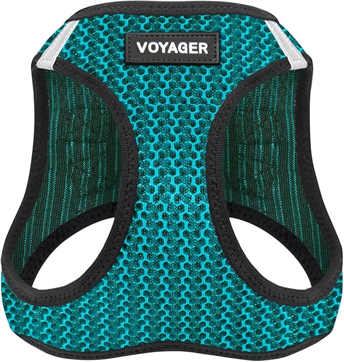 Best Pet Supplies Voyager Step-in Air Harness - All Weather Mesh, Reflective, No Pull Harness for Dogs, Cats - Secure with Hook & Loop Fastener, Buckle, Double D-Rings - Turqupise 2-Tone, S