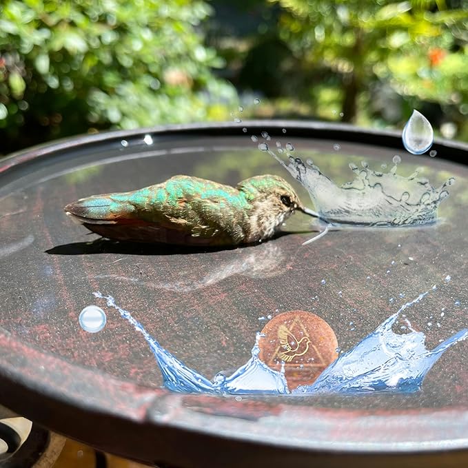 Bird Bath Purification Disk, 99.99% Copper Disc for Bird Bath Copper Disk Cleaner Safe for Outside Birds Fountain Disc Accessories, Fit for Outdoor Birdbath Bowl (3 pcs)