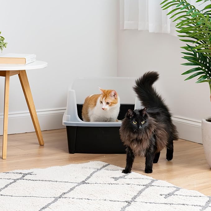 IRIS USA XX-Large Cat Litter Box, Open Top Extra Large Litter Box for Big Cats and Multi-Cat Households, High Sided Scatter Shield, Easy to Clean, 30"L x 20"W x 14"H, Black