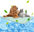 NWK Pet Cooling Mat -39’’ X 27’’ Ice Silk Cooling Mat for Dogs & Cats Portable & Washable Pet Cooling Blanket, Car Seats, Beds for Summer (Green Fruit, Large)
