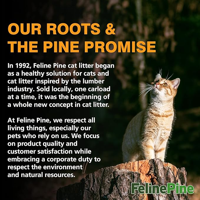 Feline Pine Platinum Non-Clumping Cat Litter, Feline Pine Cat Litter 18lb (Pack of 2)