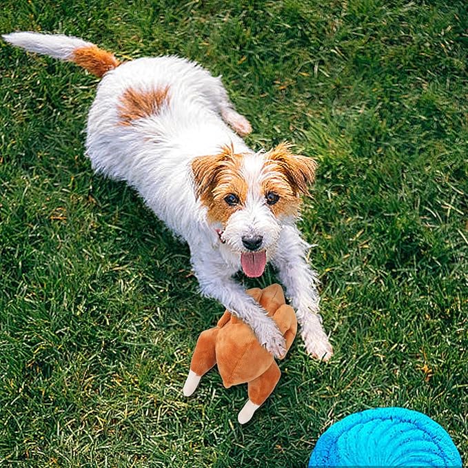 Puppy Chew Toys, Cute Durable Fabric Interactive Small Dog Toy,Indestructible Plush Heavy Duty Dog Toys to Keep Them Busy for Playing Small Medium Breeds Puppy Home Teething Anxiety Relief Indoor