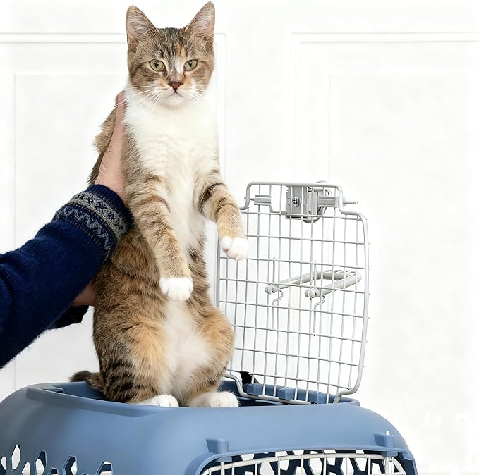24" Pet Kennel Carrier for Small Dogs & Cats - Portable & Travel-Ready Two-Door (Top/Front Loading), Durable Blue Plastic