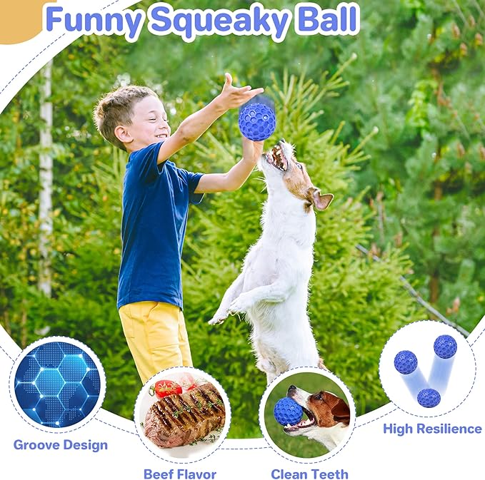 Tough Squeaky Dog Balls Puppy Toys, Interactive Dog Toys for Small Dogs, Puppy Chew Toys for Teething and Relax, Dogs Chew Toy Small Balls Dog Toys for Small Breed, Outdoor Dog Toy for Dogs