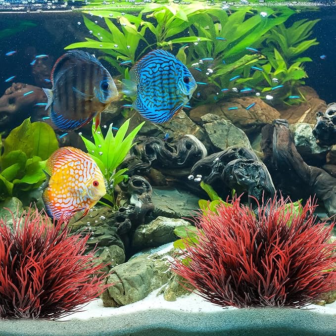 2 Pcs Aquarium Plants Fish Tank Decorations Artificial Fish Tank Plants Plastic Mini Grass Set Natural Style Tanks Accessories (Black Red)