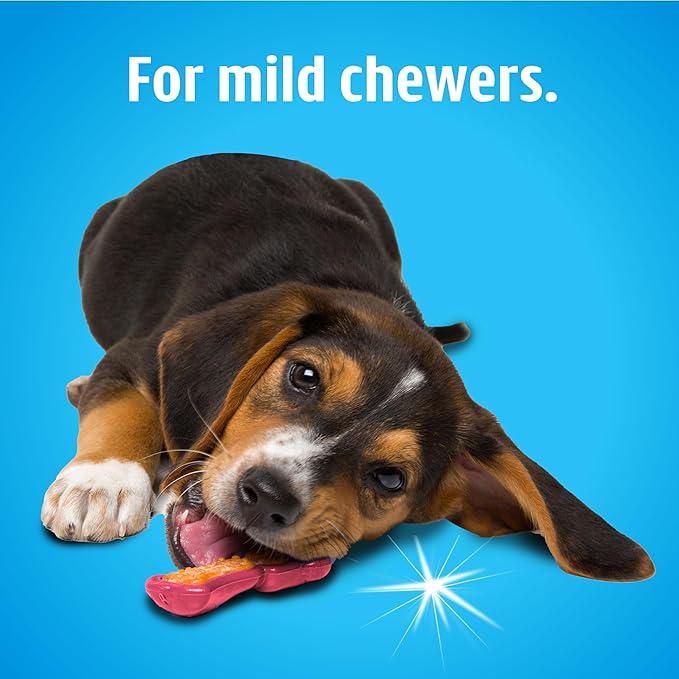 Hartz Chew 'n Clean Dental Duo Bacon Flavored Dental Dog Chew Toy and Treat - Extra Small