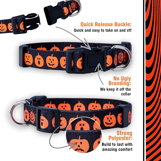 Native Pup Halloween Dog Collar- Spooky Fall Themed Horror Costume Collars- Skull, Pumpkin, Ghost, Bat, Witch, Candy Corn, Spider- Adjustable for Small, Medium, Large Breeds (Large, Big Pumpkins)