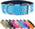 Heavy Duty Tactical Dog Collar - 1.5" Width Military Durable Thick Nylon with Adjustable Metal D Ring & Buckle Working Training K9 Collar for Medium Large Dogs (L(20"-23"), Light Blue)