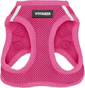 Best Pet Supplies Voyager Step-in Air Harness - All Weather Mesh, Reflective, No Pull Harness for Dogs, Cats - Secure with Hook & Loop Fastener, Buckle, Double D-Rings - Fuchsia, M