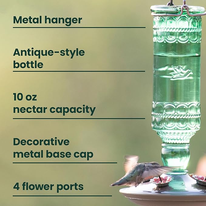 Perky-Pet Glass Bottle Hummingbird Feeder - Outdoor Garden Décor Humming bird Feeder, 8108-1SR - 10 Fl Oz Nectar Capacity - Durable Green Antique Design - Hang from Tree, Porch, Deck, Hook