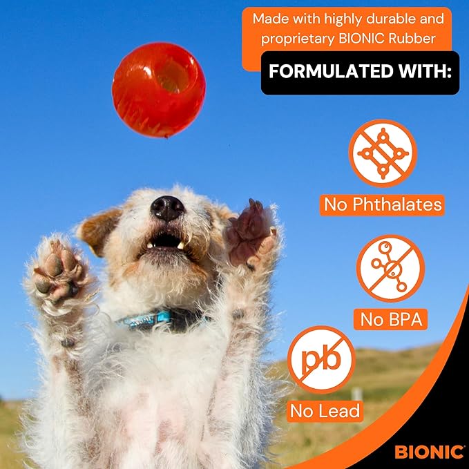 BIONIC Ball Dog Toy, Small - Interactive Dog Chew Toy That Stands Up to The Toughest Chewers, for Dogs up to 20 lbs. (9 kg)