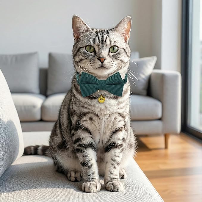 THAIN Cat Collar with Bow Tie and Bell, Breakaway Adjustable Cute Soft Corduroy Kitten Collars Safety Buckle for boy Cats (Solid Dark Green)