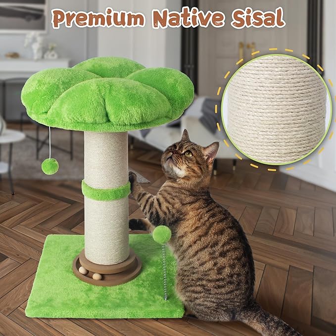 Fantasreen Scratching Post 25 Inch Tall Cat Scratcher for Indoor, Interactive Ball, Small Cat Tree with Bed for Kittens and Large Cats, Green