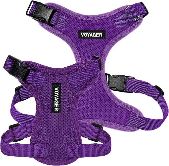 Voyager Step-in Pet Harness - All Weather Mesh, Adjustable Step in Harness for Cats and Dogs by Best Pet Supplies - Purple, XS