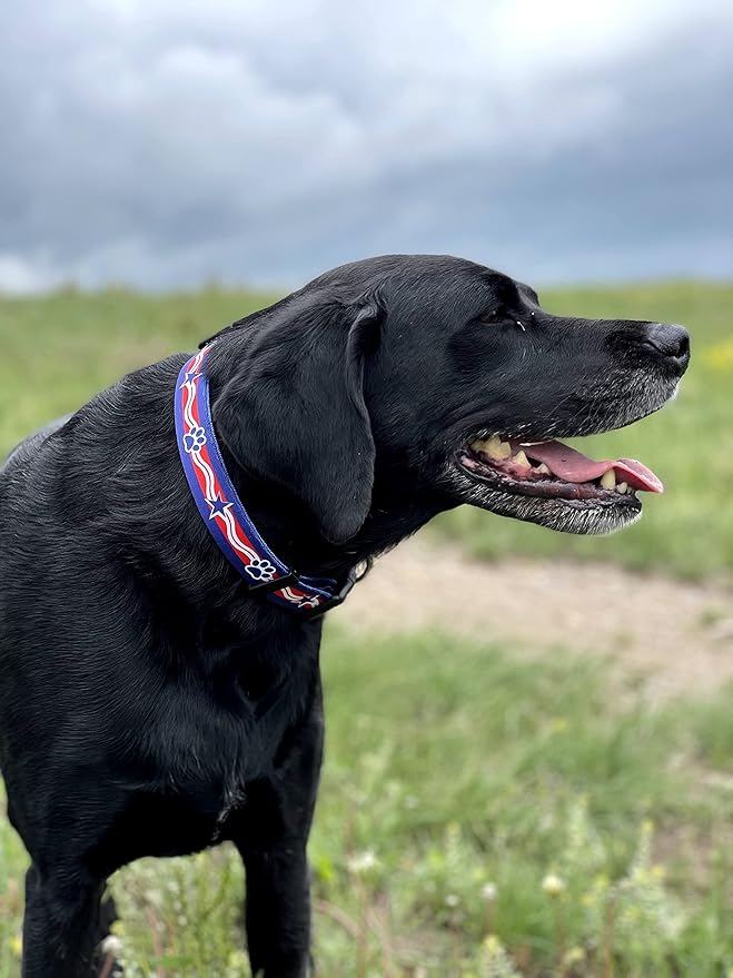 Native Pup American Flag Dog Collar- Red White and Blue- Patriotic Collars for 4th of July, USA- Adjustable Small, Medium, Large Breed Dogs (Large, Paws)