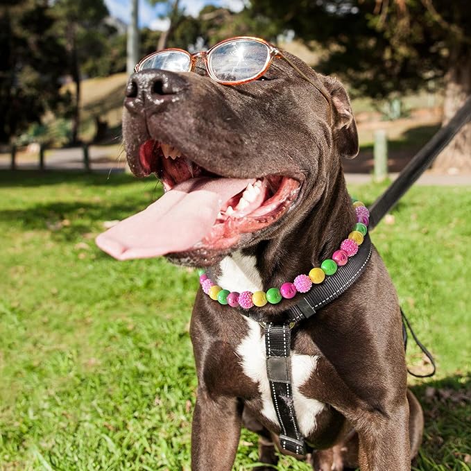 Beaded Dog Necklace Collar, Adjustable Jewelry-Inspired Design with Sparkle Beads (Vivid Tropics, Large)