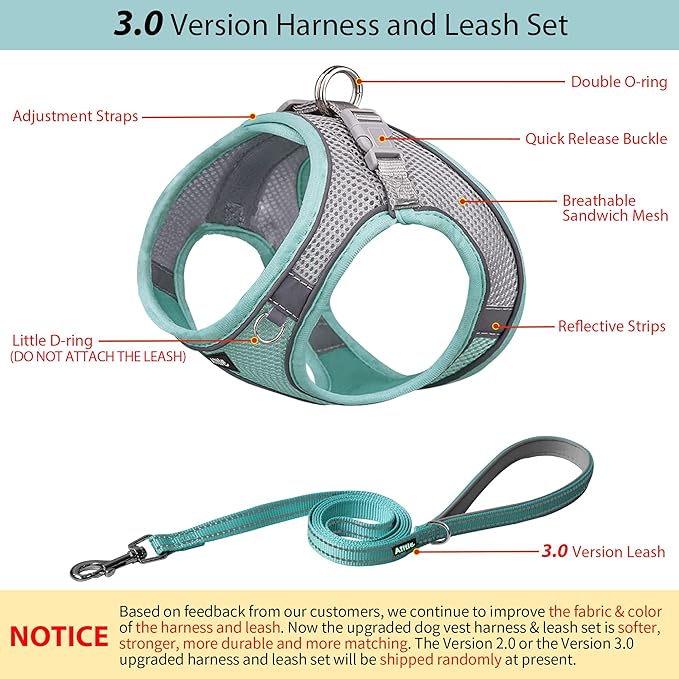 AIITLE Escape Proof Dog Harness - Step in Adjustable Dog Harness No Choke Over with Breathable Mesh and Quick-Release Buckle for All Weather- Outdoor Walking, Training for Medium Dogs Turquoise XL