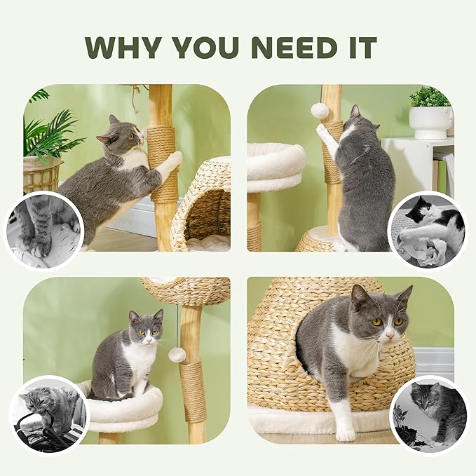 PawHut Cat Tree for Indoor Cats, 41" Wooden Kitten Tower with 2 Real Branch Scratching Posts, Luxury Condo, Beds & Toby Balls, Kitten Activity Center & Cat Furniture, Cream White