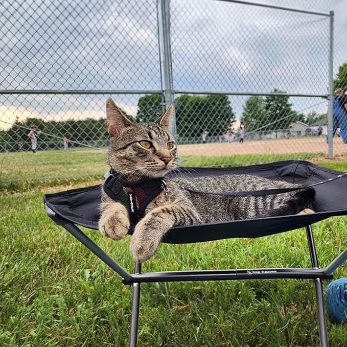 Voyager Escape-Proof Step-in Lock Cat Harness & 5ft Neoprene-Handle Leash Set All-Weather Mesh with Reflective Stitching for Small to Large Cats by Best Pet Supplies, Army/Black Trim, XXS